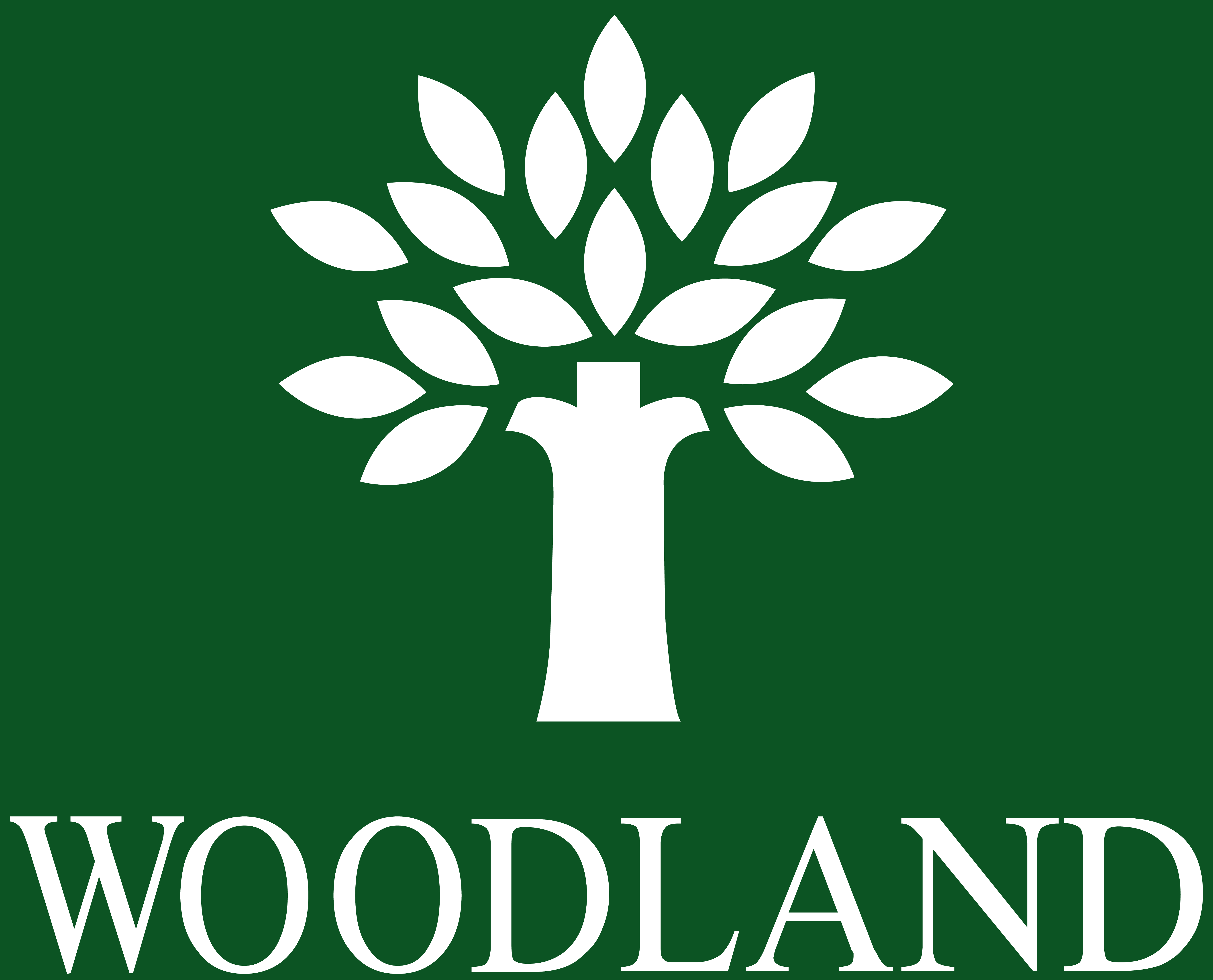 Woodland, Royapettah